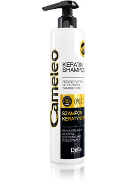 Delia - Cameleo BB - keratin SHAMPOO DESTROYED hair (black) 250ml